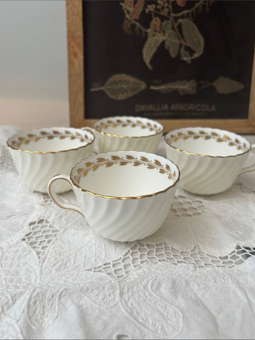 White Porcelain Teacup with Gold Leaf Rim - Home Dining Mug